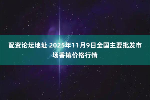配资论坛地址 2025年11月9日全国主要批发市场香椿价格行情