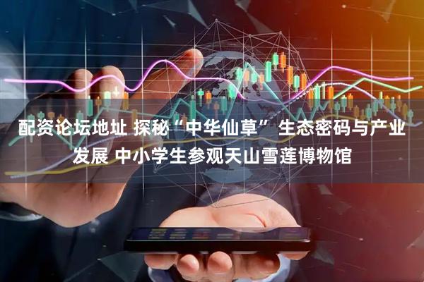 配资论坛地址 探秘“中华仙草” 生态密码与产业发展 中小学生参观天山雪莲博物馆